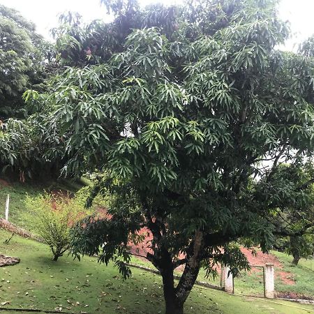 Sitio Dos Rodrigues Villa Lindoia ภายนอก รูปภาพ